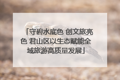 守碧水底色 创文旅亮色 君山区以生态赋能全域旅游高质量发展